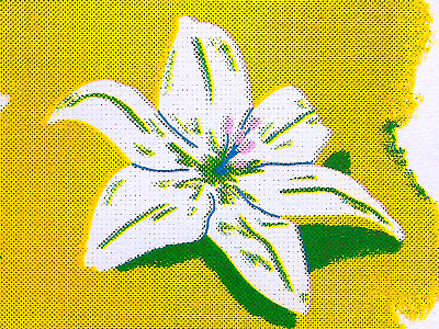 Lily cmyk flower halftones lily riso risograph