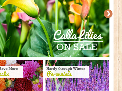 TulipWorld Redesign flowers garden slider website