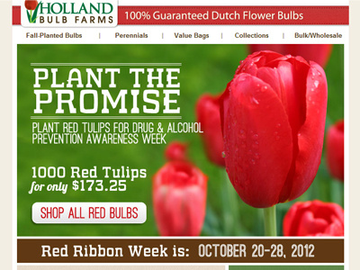 Red Tulip HTML Email ecommerce email flowers garden html red