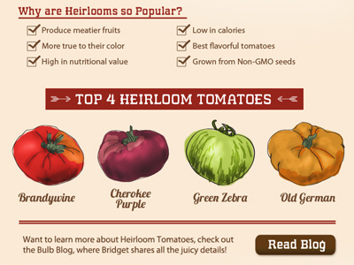 Tomato Email email html tomatoes vegetables