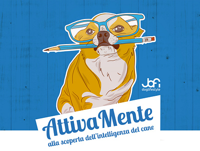 JOFI DOGLIFESTYLE branding design illustration logo vector web website