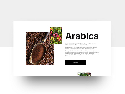 Arabica arabica beans cofee design flat page design ui ui design uidesign uiux ux ux design uxdesign website