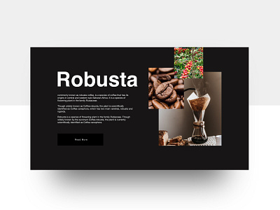 Robusta black branding coffee design flat ui uidesign ux webdesign website
