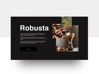 Robusta