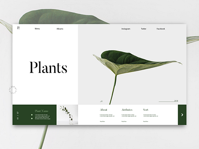 Plant store web green plants store ui web webdesign website