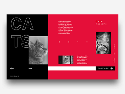 Cats cat magazine ui. ux design web website