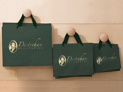 Destrehan Plantation Bag bag brand identity branding logo logos shopping bag