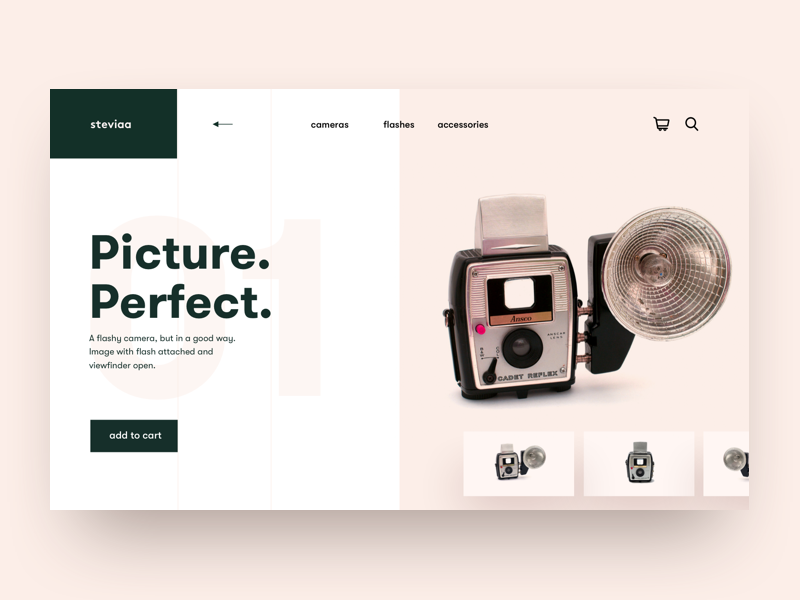Retro series 1 of 10 grid pink salmon landing web design camera product design app concept product hero ux clean ui ui minimal
