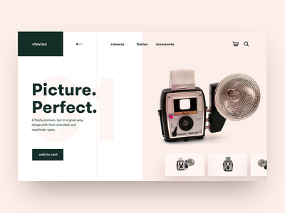 Retro series in the modern era app camera clean ui concept design grid hero landing minimal pink product product design salmon ui ux web