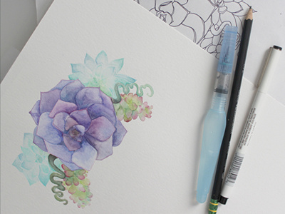 Succulent Crest in Watercolor crest drawing flowers paint sketching succulents watercolor