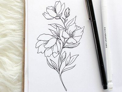Floral Sketches concept drawing floral invitations outline sketch