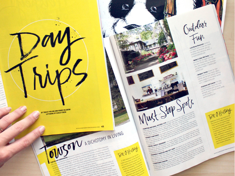 Northern Virginia Magazine Lettering brush lettering hand lettering type typography lettering