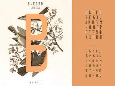 VISOKO FF Cyrilic cyrilic design digital font font family graphic design illustration letters serbian typeface typography visoko