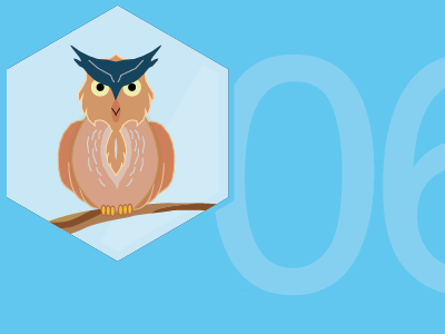 Learning owl. badge bird flat hexagon icon illustration owl