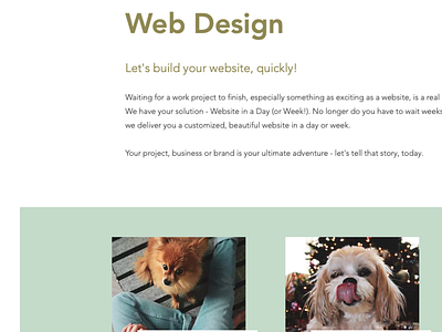 Web Design Page branding design graphic design web