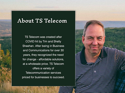 TS Telecom branding design graphic design logo web