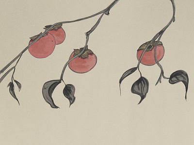 Persimmon design digital art folk fruit illustration persimmon procreate traditional art