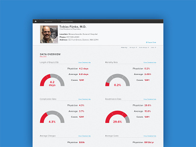 Data Overview Interface