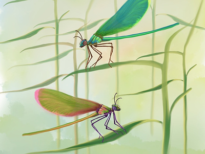 Dragonfly Garden book illustration childrens book illustration illustration insects llustr nature original art