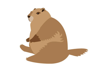 Marmot adobe chubby doodle drawing graphic illustration illustrator marmot pudgy vector winter body woodland