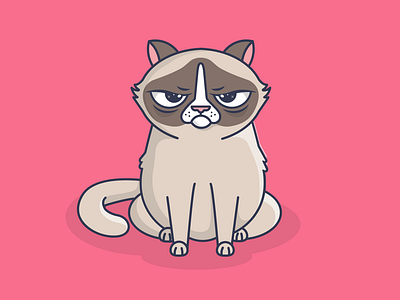 Grumpy Cat 404 error 404 grumpy cat