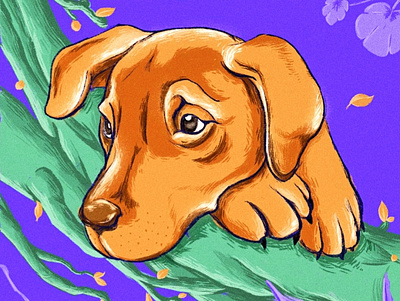 Chris the puppy 2d cartoon character characterdesign dogs drawing illustration procreate puppy