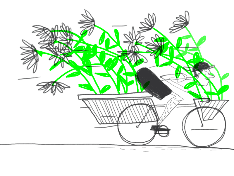 Urban gardeners (#2) bike cyclist gardener green speedy sun sunflower