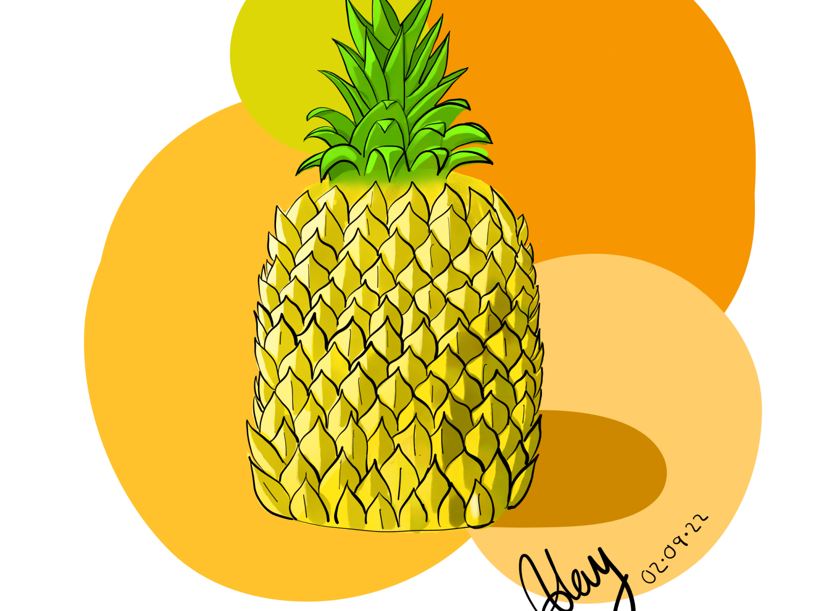 Summer Pineapple by Annie Hay on Dribbble