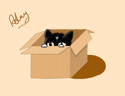 Alfie in a box adobe alfred artist black box cat cat in the box design digital art fresco illustration kitty white
