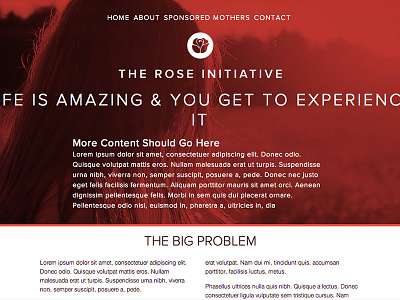 web design progress for the rose initiative index page proxima nove web design wip