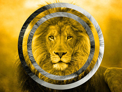 lion desktop background