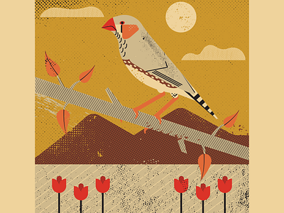 Zebra Finch artist bird design digitalart digitaldesign distressed finch graphicdesign illustration illustrator retro screen printing texture vector vectorart vintage