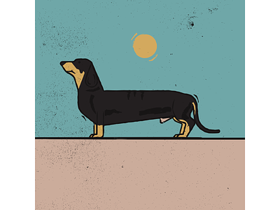 Dachshund dachshund digitalart digitaldesign dog graphicdesign illustration illustrator linocut retro retro illustration texture vector woodcut woodcut illustration