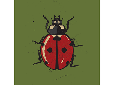 Ladybug