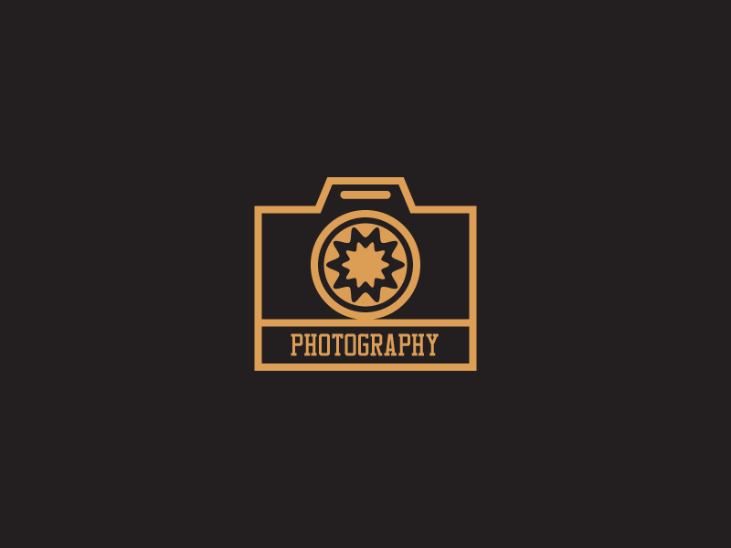 Photography/Logo logos logodesign artist digitalart digitaldesign vector illustration photography logo