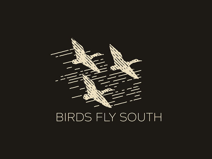 Birds Fly South By Vision Grasp Art On Dribbble