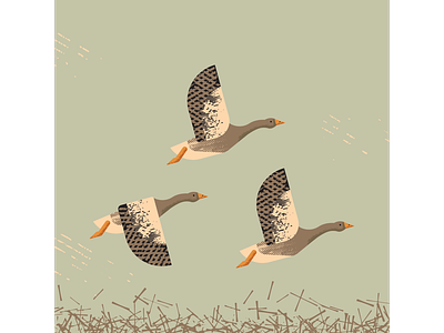 Greylag Geese artist birds design digitalart digitaldesign goose graphicdesign illustration illustrator migration vector vectorart vintage