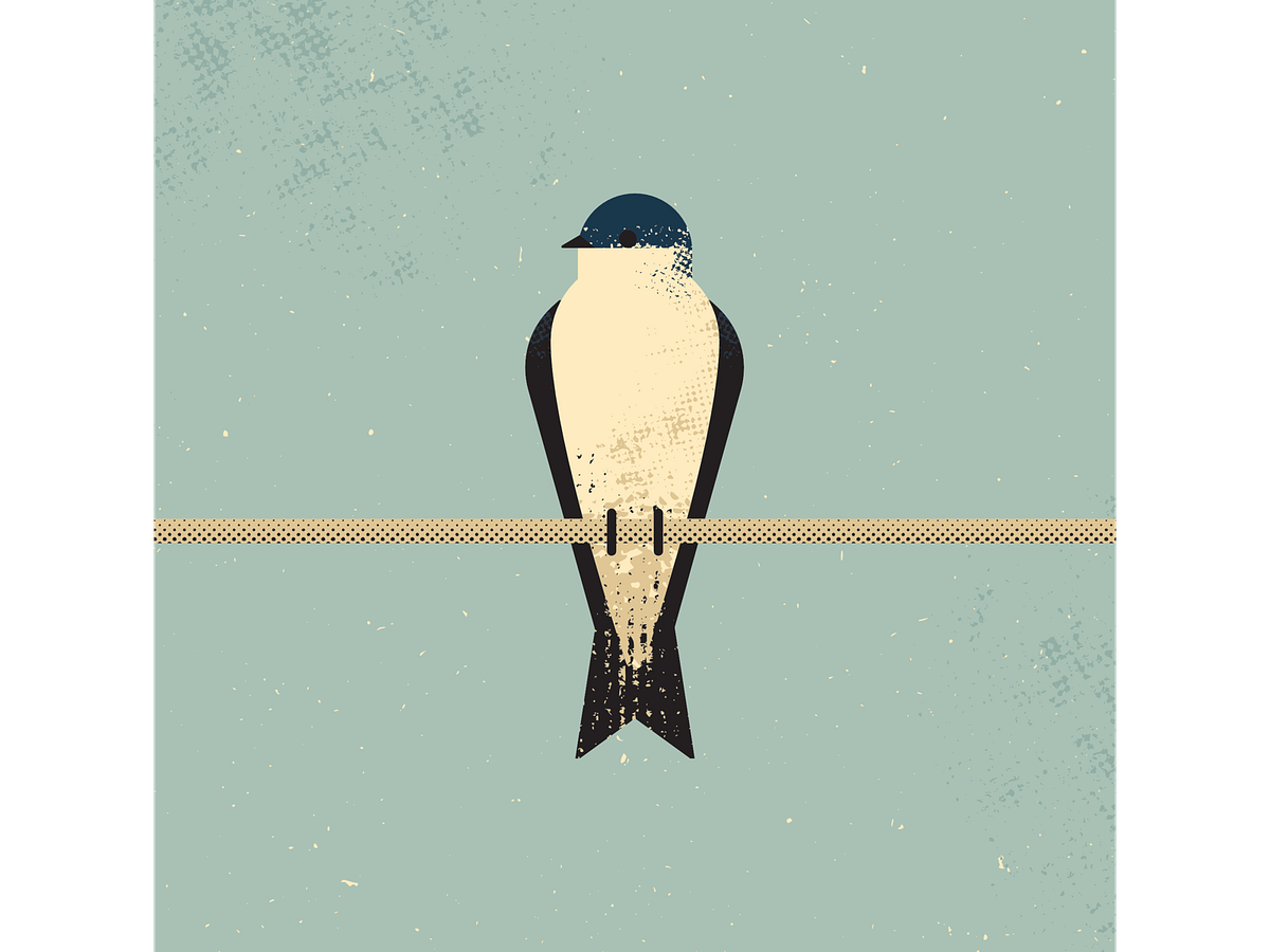 Tree Swallow designs, themes, templates and downloadable graphic ...