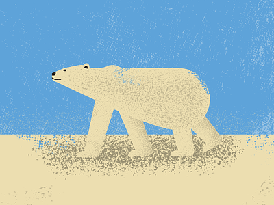 Polar Bear artist bear design digitalart digitaldesign graphicdesign illustration illustrator polarbear retro vector vectorart vintage