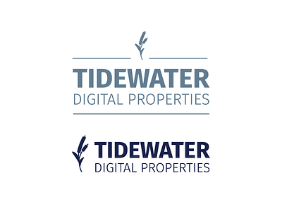 Tidewater brand branding design graphics icon iconography lettering logo logos type typography