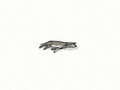 Stray dog sleeps dip pen drawing illustration indian ink pen and ink sleeping dog stray dog