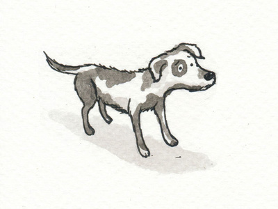 Sad stray dog