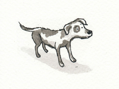 Sad stray dog dip pen drawing illustration indian ink pen and ink sleeping dog stray dog