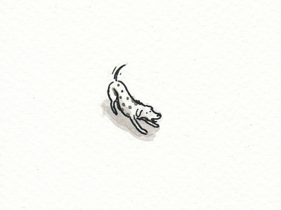 Stray dog wants to play dip pen drawing illustration indian ink pen and ink sleeping dog stray dog