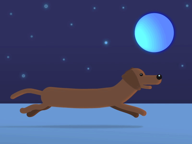 Moonlight Dachshund aftereffects animation dachshund gif infiniteloopgif runcycle sausagedog vectorgraphic wiener-dog