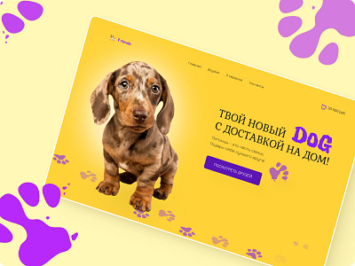 Landing Page for four-legged friends! design dog landing page ui ux zoo