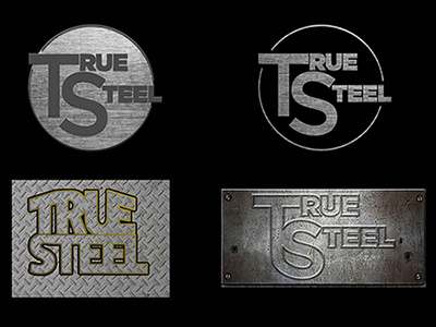 True Steel Logo concepts