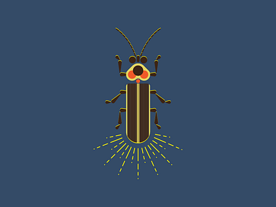 Lightning Bug