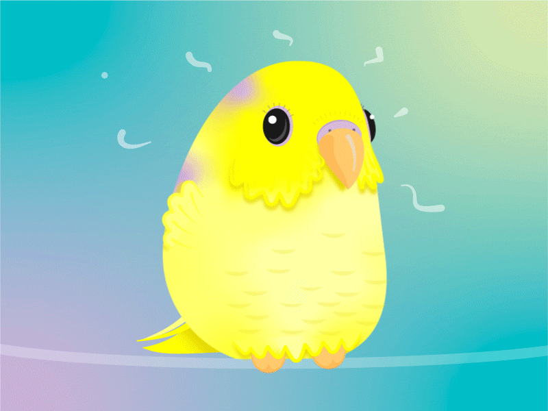 Chatty Chicken Revisited after effects animal animation bird illustration