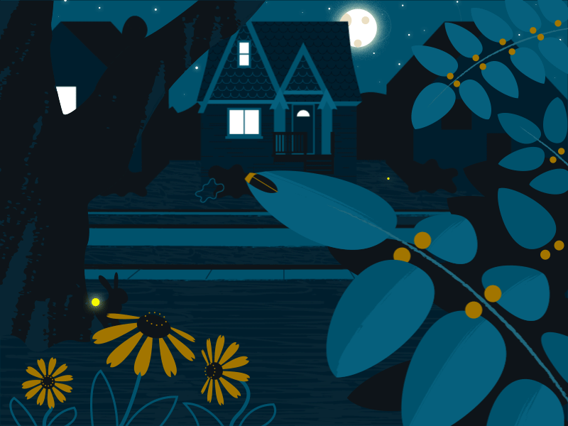 Firefly Season 2019 2d aftereffects animation bird bug evening flowers illustration illustrator insect night owl summer